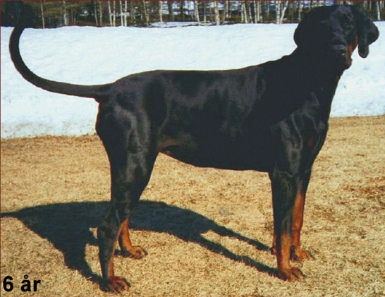wanja5